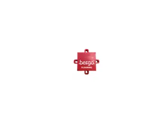 Bergo Logo Line Cross-piece System 4